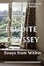An Erudite Odyssey: Essays from Within