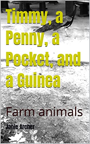 Timmy, a Penny, a Pocket and a Guinea (Kindle Edition)