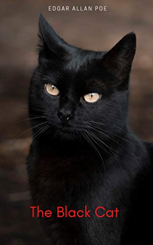 The Black Cat