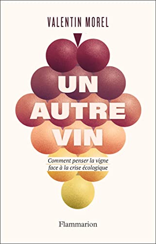 Un autre vin (Kindle Edition)