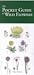 The Pocket Guide to the Wild Flower