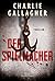 Der Spielmacher: Thriller |...