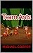 Team Ants