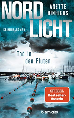 Nordlicht – Tod in den Fluten (Boisen & Nyborg, #5)