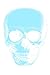 Pastel Blue Skull Minimalis...