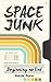Space Junk: Beginning no End