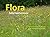 Flora: ten years among the flowers of an endangered landscape