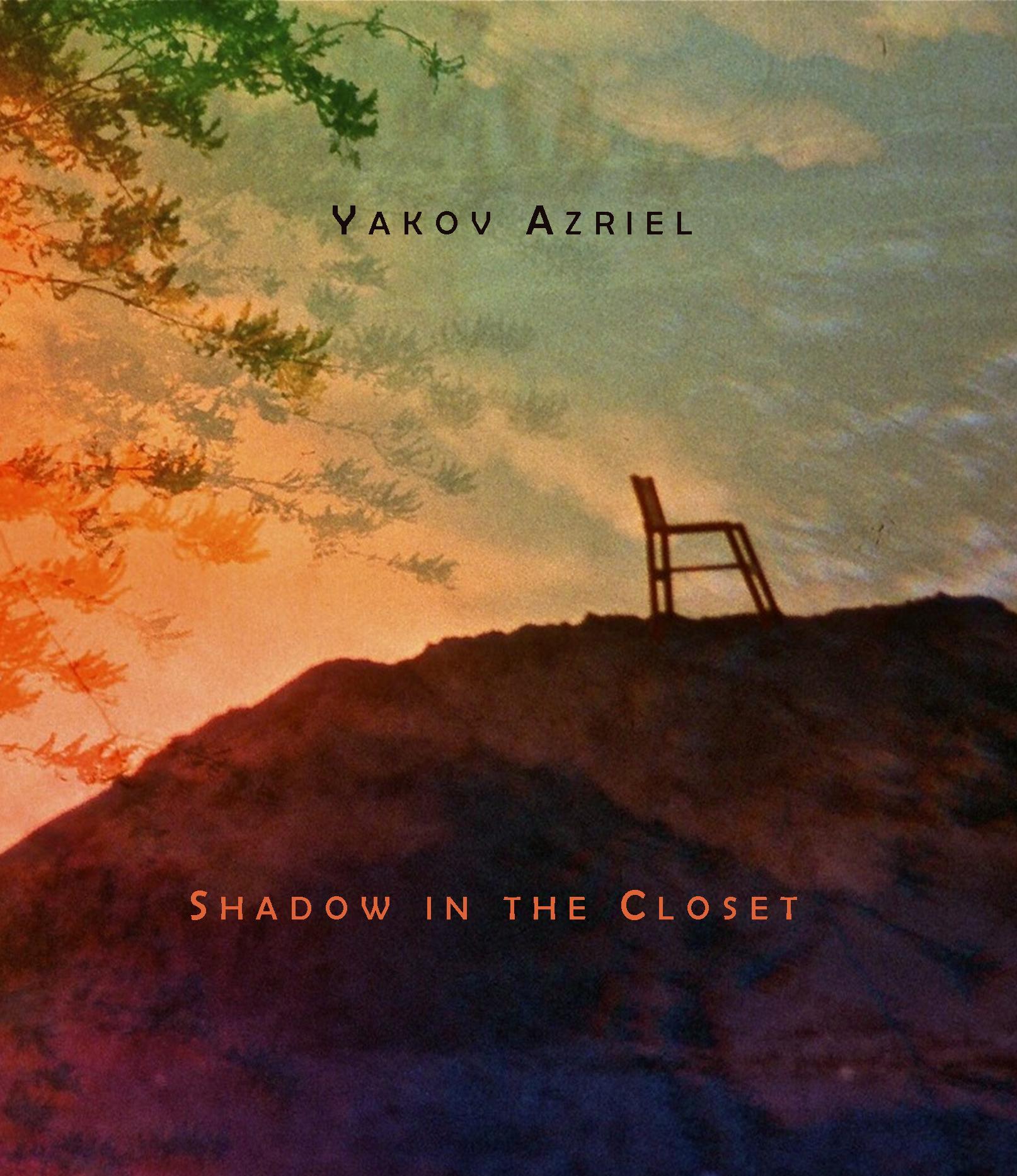 Shadow in the Closet (Robin Becker Series, #28)