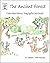 The Ancient Forest: A story...