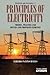 Principles of Electricity: Theory, practice and solved and proposed exercises (Electricity and Electronics)