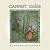 Carrot Cake (Timeless stories from David and Nonny)