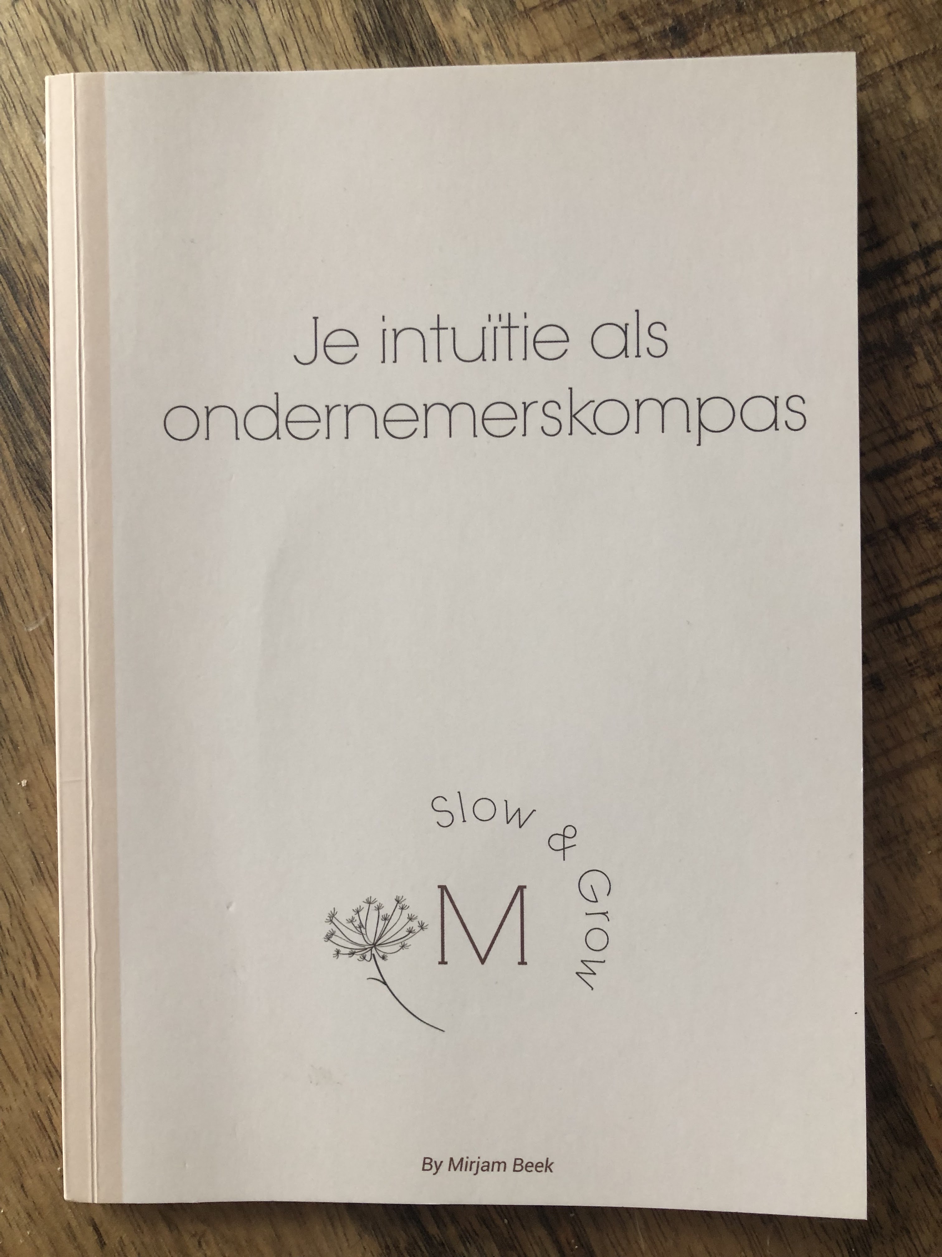 Je intuïtie als ondernemerskompas (Paperback)