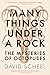 Many Things Under a Rock: The ‘mind-blowing’ book that reveals the mysteries of the octopus, perfect for all science enthusiasts and fans of David Attenborough