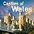 Castles of Wales