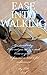 Ease Into Walking by T.D. Errol