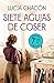 Siete agujas de coser (Siete agujas de coser, #1)