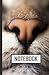 Glorious cats NoteBook: Cat...