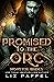 Promised to the Orc by Liz Paffel