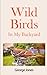 Wild Birds In My Backyard: ...