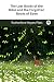 The Lost Books of the Bible and the Forgotten Books of Eden by Rutherford Hayes Platt