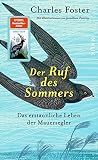 Der Ruf des Sommers