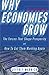 Why Economies Grow by Jeff Madrick