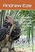 Oil Palm Productions by Andrew Eze