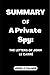 SUMMARY OF A Private Spy by John J. Palmer