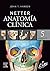 Netter. Anatomía clínica