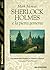 Sherlock Holmes e la pietra...