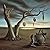 Human, All Too Human: A Book for Free Spirits - A Modern English Translation: Version 2