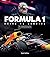 Formula 1 Drive to Survive The Unofficial Companion: The Stars, Strategy, Technology, and History of F1