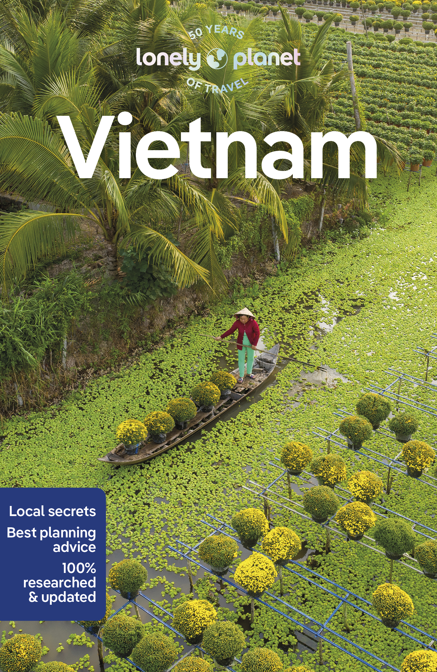 Lonely Planet Vietnam: Detailed Itineraries | Travel Like a Local | Insider Tips | Covers Hanoi & Halong Bay, Ho Chi Minh City, Hue and Hoi An PLUS Angkor Wat