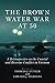 The Brown Water War at 50 by Thomas J Cutler