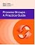 Process Groups: A Practice Guide - 2022, Paperback