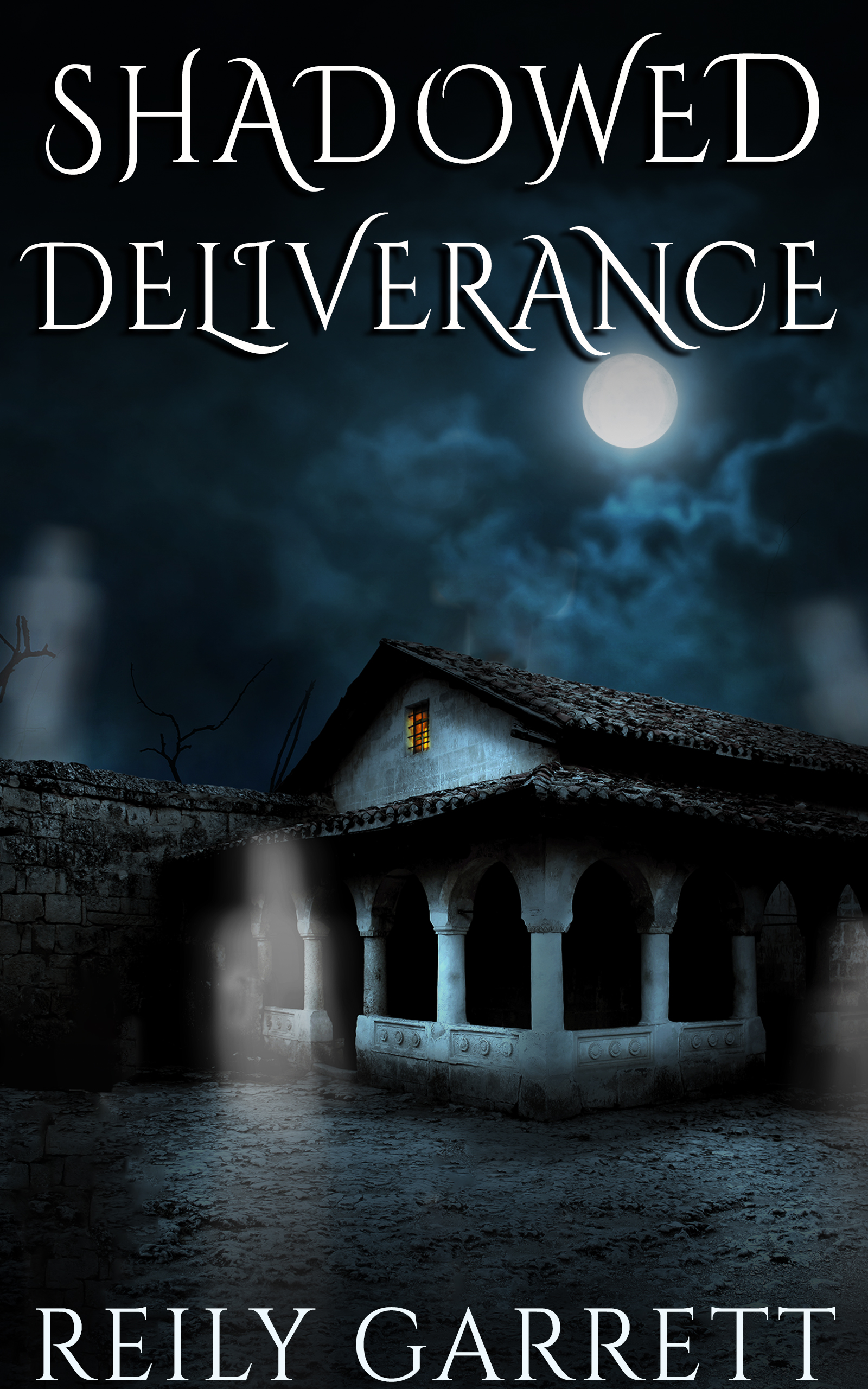 Shadowed Deliverance (The Guardians #7)
