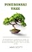 PINE BONSAI TREE: The begin...