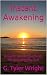 Instant Awakening: Insights...