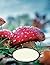 Mushroom Composition Book W...