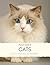 Picture Book of Cats: Cute ...