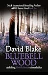 Bluebell Wood by David  Blake