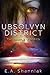 Ubsolvyn District: The Complete Series: Alien Prince RH