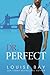 Dr. Perfect (The Doctors Series)