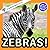 Zebras!: A My Incredible Wo...