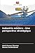 Industrie minière - Une perspective stratégique (French Edition)