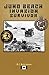 Juno Beach Invasion Survivor