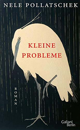 Kleine Probleme (Hardcover)