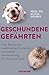 Geschundene Gefährten: Über Irrwege in der Rassezucht und unsere Verantwortung für Hund und Katze | Deutschlands bekanntester Tierpathologe über Tierethik und Tierwohl (German Edition)