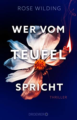 Wer vom Teufel spricht: Thriller (German Edition)