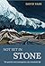 Not Set In Stone by David Vass